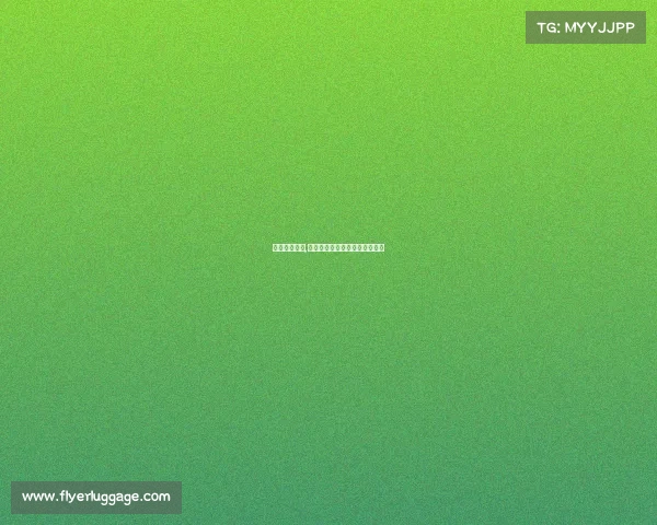 宝马赛事荣誉,宝马速度传奇全球赛道激情风暴