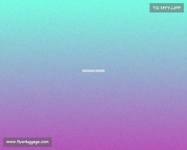 王者小信电子竞技,王者小信最新