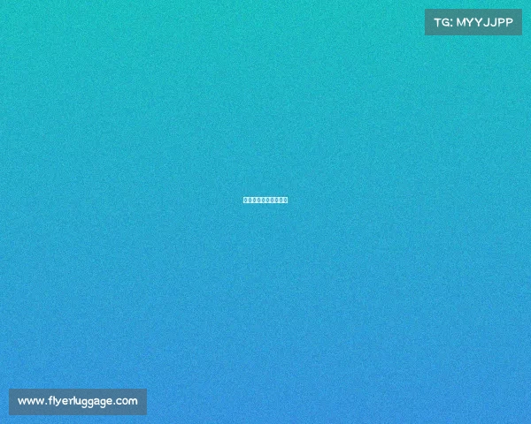 电子竞技员的评价标准