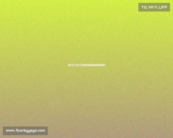 《从SNS到SN：一支战队的浴火重生与传奇序章》