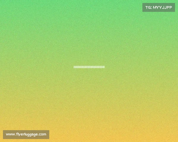 新疆电竞教育新篇章：天山脚下的职业选手摇篮